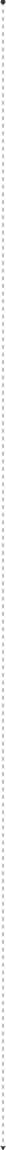 Asset 8